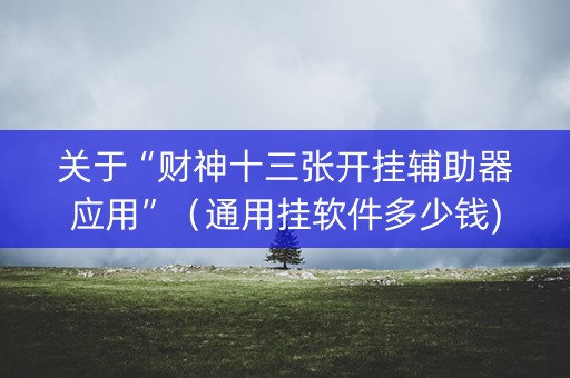 关于“财神十三张开挂辅助器应用”（通用挂软件多少钱)