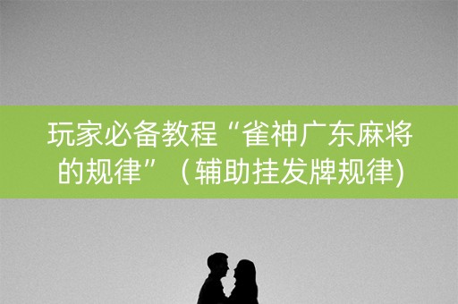 玩家必备教程“雀神广东麻将的规律”（辅助挂发牌规律)