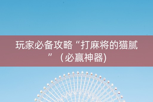 玩家必备攻略“打麻将的猫腻”（必赢神器)