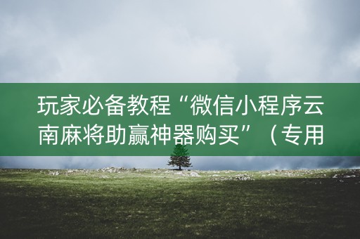 玩家必备教程“微信小程序云南麻将助赢神器购买”（专用神器)