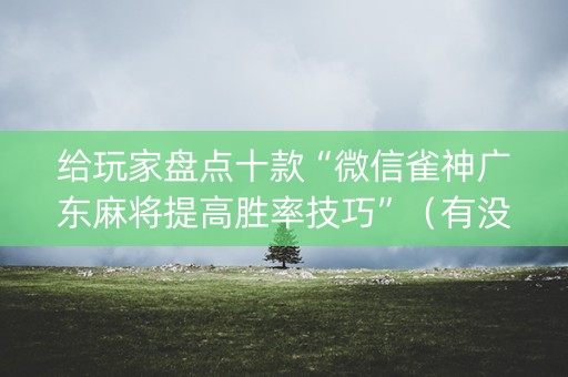 给玩家盘点十款“微信雀神广东麻将提高胜率技巧”（有没有猫腻)