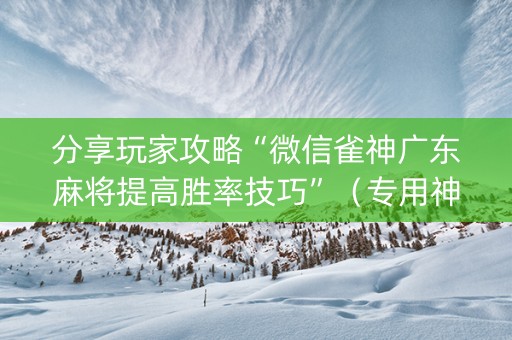 分享玩家攻略“微信雀神广东麻将提高胜率技巧”（专用神器)