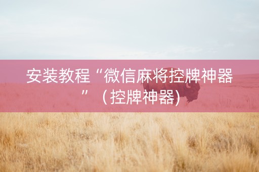 安装教程“微信麻将控牌神器”（控牌神器)