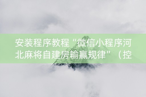 安装程序教程“微信小程序河北麻将自建房输赢规律”（控牌器)