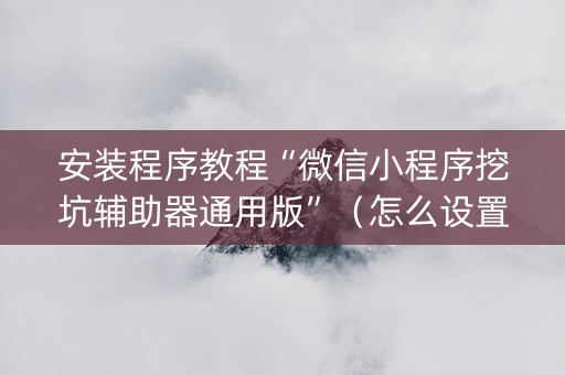 安装程序教程“微信小程序挖坑辅助器通用版”（怎么设置才能赢)