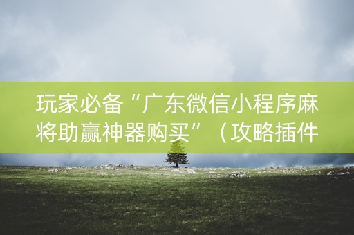 玩家必备“广东微信小程序麻将助赢神器购买”（攻略插件)