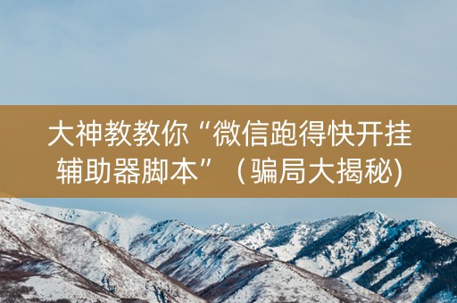 大神教教你“微信跑得快开挂辅助器脚本”（骗局大揭秘)