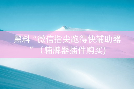 黑料“微信指尖跑得快辅助器”（辅牌器插件购买)
