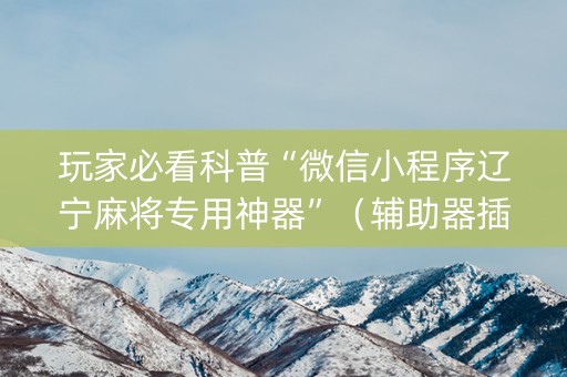 玩家必看科普“微信小程序辽宁麻将专用神器”（辅助器插件)