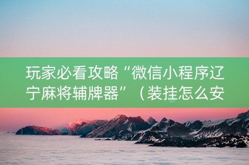 玩家必看攻略“微信小程序辽宁麻将辅牌器”（装挂怎么安装)