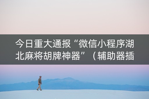 今日重大通报“微信小程序湖北麻将胡牌神器”（辅助器插件)