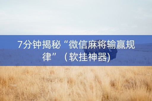 7分钟揭秘“微信麻将输赢规律”（软挂神器)