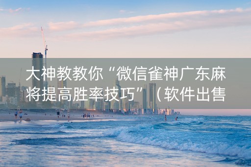 大神教教你“微信雀神广东麻将提高胜率技巧”（软件出售)