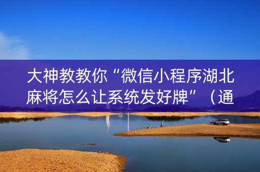 大神教教你“微信小程序湖北麻将怎么让系统发好牌”（通用挂软件多少钱)