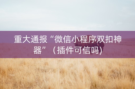 重大通报“微信小程序双扣神器”（插件可信吗)