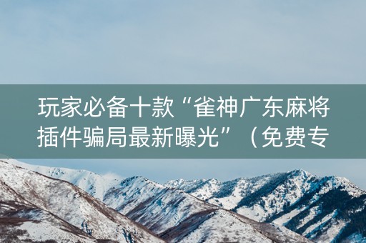 玩家必备十款“雀神广东麻将插件骗局最新曝光”（免费专用神器)