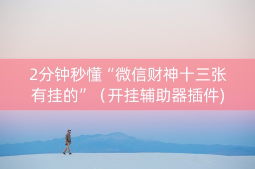 2分钟秒懂“微信财神十三张有挂的”（开挂辅助器插件)