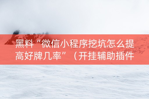 黑料“微信小程序挖坑怎么提高好牌几率”（开挂辅助插件)