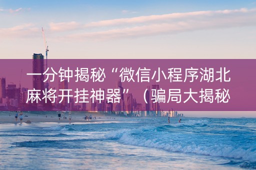 一分钟揭秘“微信小程序湖北麻将开挂神器”（骗局大揭秘)