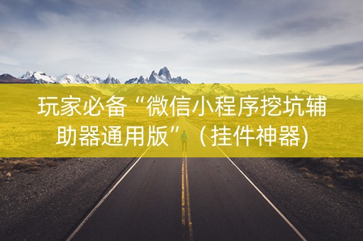 玩家必备“微信小程序挖坑辅助器通用版”（挂件神器)