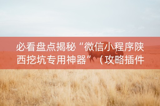 必看盘点揭秘“微信小程序陕西挖坑专用神器”（攻略插件)