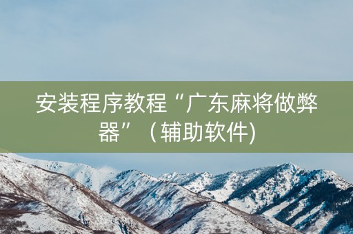 安装程序教程“广东麻将做弊器”（辅助软件)