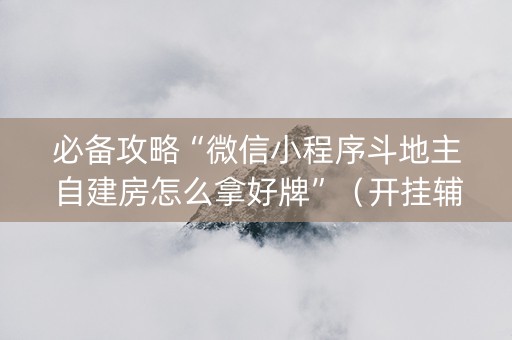 必备攻略“微信小程序斗地主自建房怎么拿好牌”（开挂辅助器脚本)