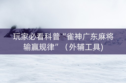玩家必看科普“雀神广东麻将输赢规律”（外辅工具)