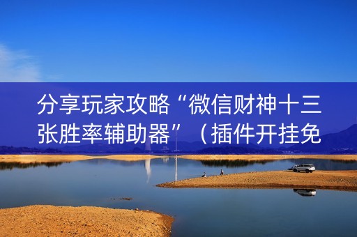 分享玩家攻略“微信财神十三张胜率辅助器”（插件开挂免费AI)