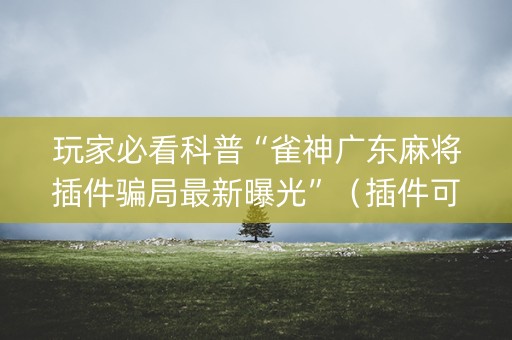玩家必看科普“雀神广东麻将插件骗局最新曝光”（插件可信吗)