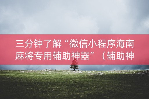 三分钟了解“微信小程序海南麻将专用辅助神器”（辅助神器免费)