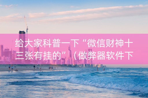 给大家科普一下“微信财神十三张有挂的”（做弊器软件下载)