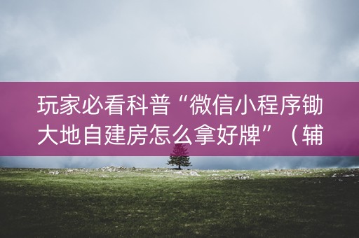 玩家必看科普“微信小程序锄大地自建房怎么拿好牌”（辅助神器免费)