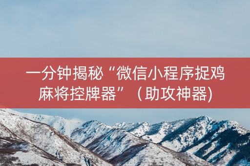一分钟揭秘“微信小程序捉鸡麻将控牌器”（助攻神器)