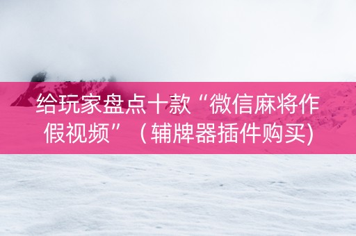 给玩家盘点十款“微信麻将作假视频”（辅牌器插件购买)