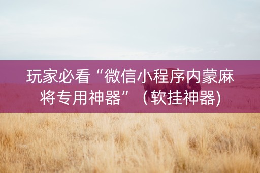 玩家必看“微信小程序内蒙麻将专用神器”（软挂神器)