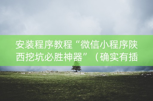 安装程序教程“微信小程序陕西挖坑必胜神器”（确实有插件吗)