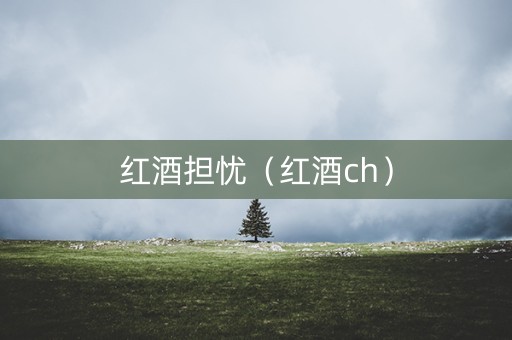 红酒担忧（红酒ch）