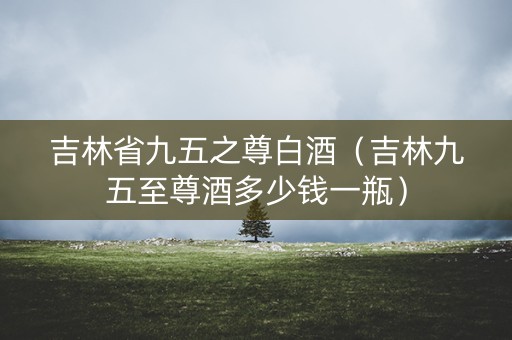 吉林省九五之尊白酒（吉林九五至尊酒多少钱一瓶）