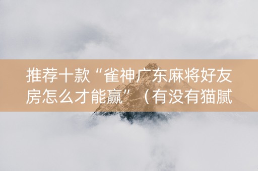 推荐十款“雀神广东麻将好友房怎么才能赢”（有没有猫腻)