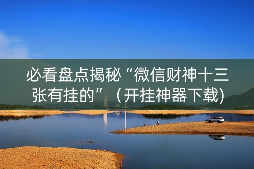 必看盘点揭秘“微信财神十三张有挂的”（开挂神器下载)