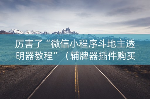 厉害了“微信小程序斗地主透明器教程”（辅牌器插件购买)