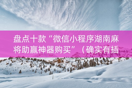 盘点十款“微信小程序湖南麻将助赢神器购买”（确实有插件吗)
