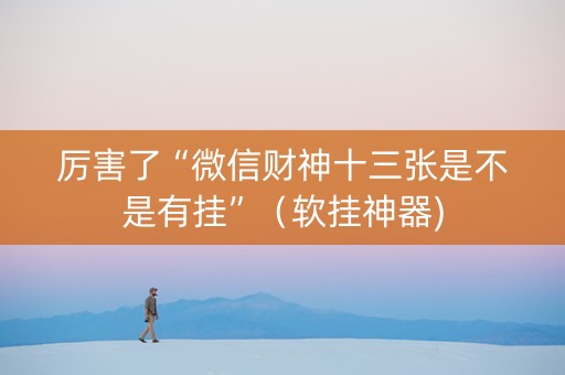 厉害了“微信财神十三张是不是有挂”（软挂神器)
