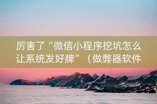 厉害了“微信小程序挖坑怎么让系统发好牌”（做弊器软件下载)
