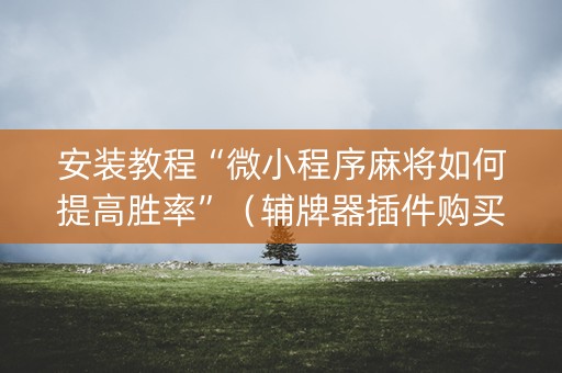 安装教程“微小程序麻将如何提高胜率”（辅牌器插件购买)