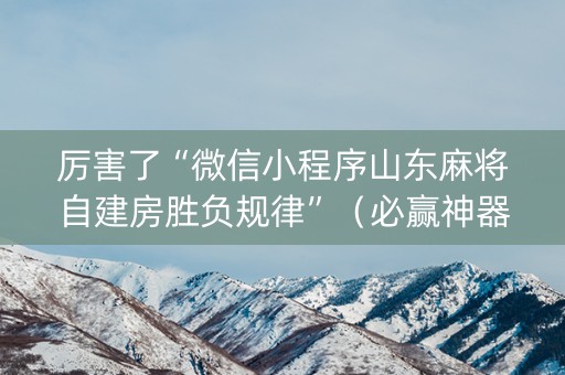 厉害了“微信小程序山东麻将自建房胜负规律”（必赢神器免费安装)