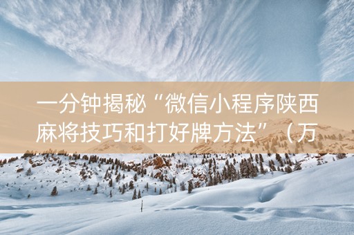 一分钟揭秘“微信小程序陕西麻将技巧和打好牌方法”（万能开挂神器)