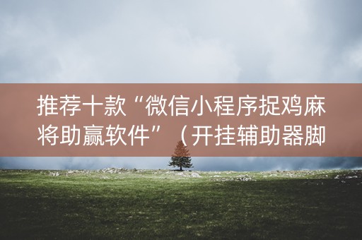 推荐十款“微信小程序捉鸡麻将助赢软件”（开挂辅助器脚本)