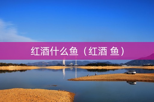 红酒什么鱼（红酒 鱼）